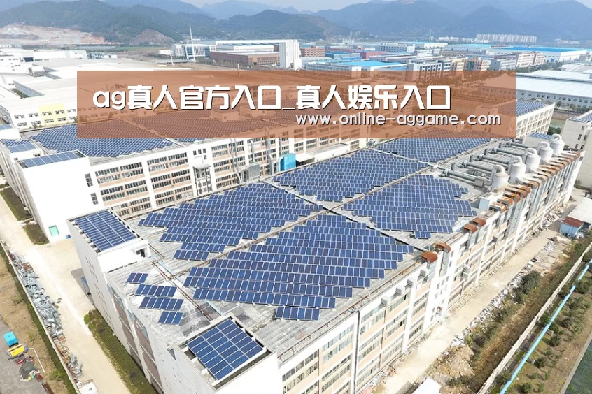 案例展示一