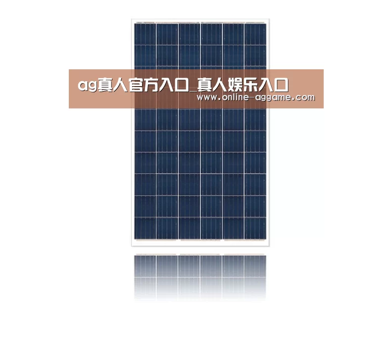 产品名称一