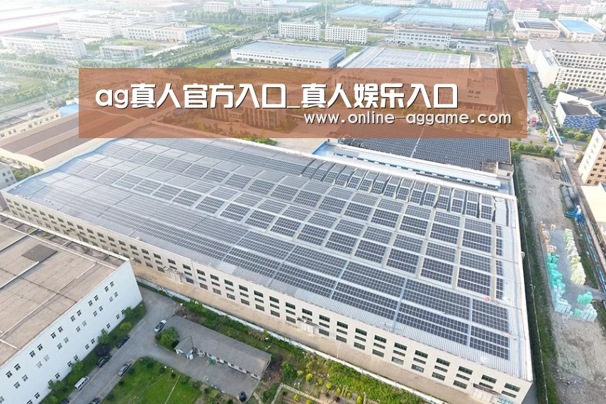 案例展示二