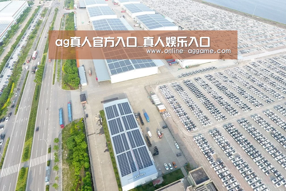 案例展示二