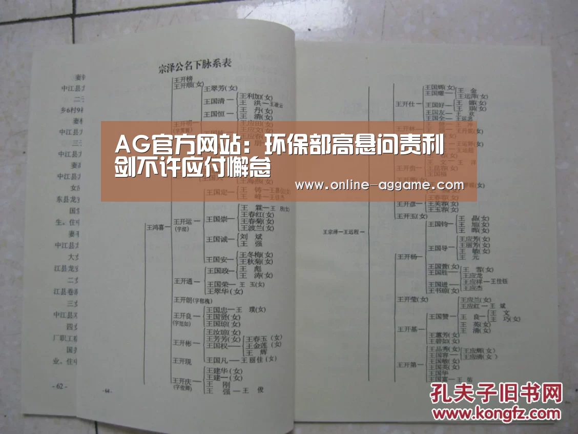 AG官方网站：环保部高悬问责利剑不许应付懈怠(图2)