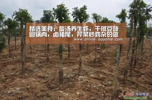 ag直营平台