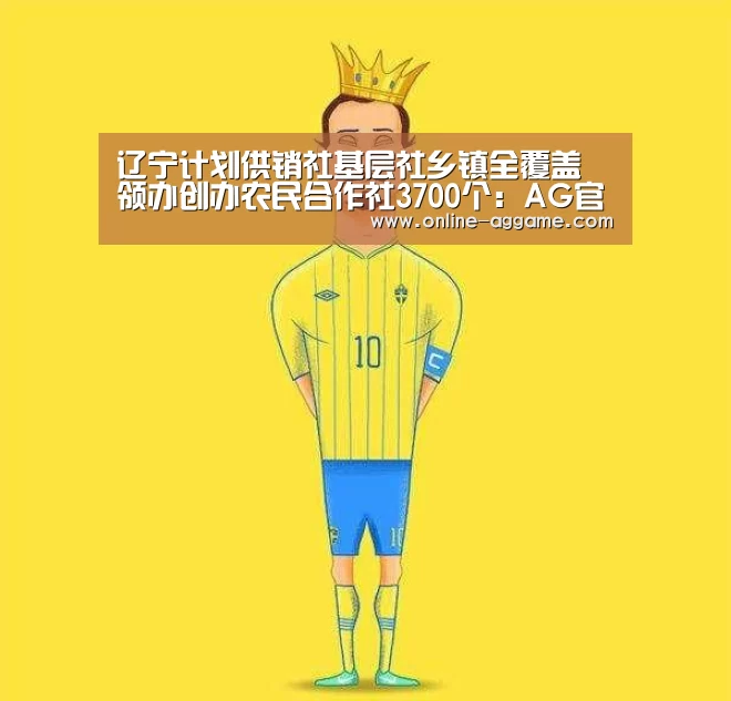 辽宁计划供销社基层社乡镇全覆盖 领办创办