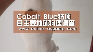 Cobalt Blue钴项目主要地球物理